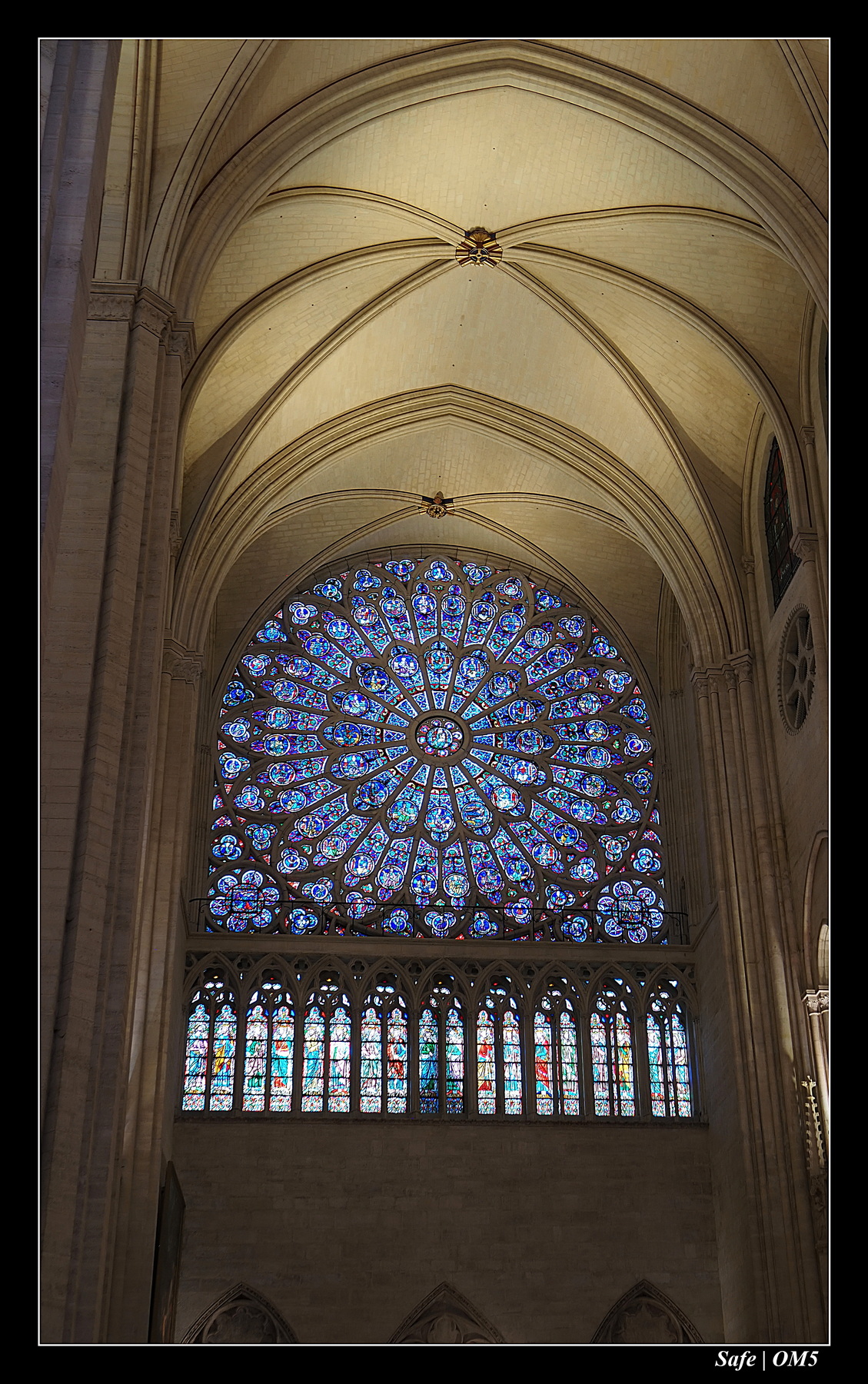 2025 - 10 - Notre dame de Paris - 13